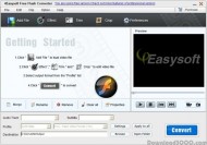 4Easysoft Free Flash Converter screenshot